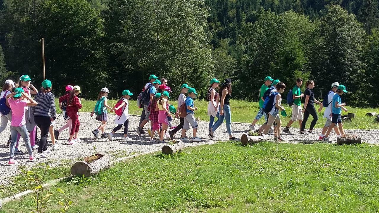 Pensiunea Poiana Soarelui Tarkő Kültér fotó